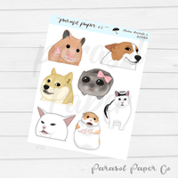 D249 - Meme Animals