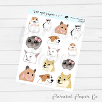 D249 - Meme Animals