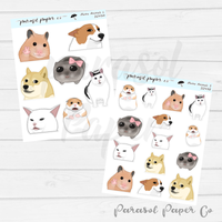 D249 - Meme Animals