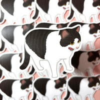 [WATERPROOF] Meme Cats 2 Vinyl Sticker Decal Pack