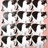 [WATERPROOF] AAAAA Screaming Cat Meme Vinyl Sticker Decal