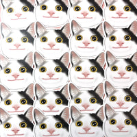 [WATERPROOF] Polite Cat Meme Vinyl Sticker Decal