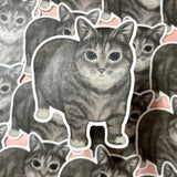 [WATERPROOF]  OIIA Spinning Cat Meme Vinyl Sticker Decal