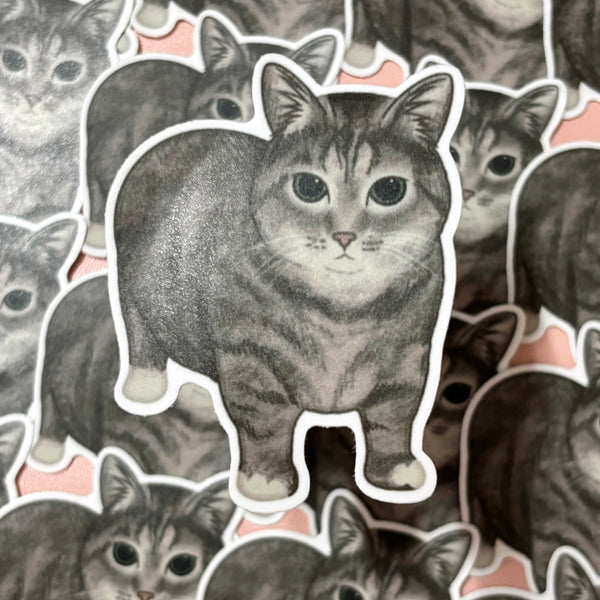 [WATERPROOF]  OIIA Spinning Cat Meme Vinyl Sticker Decal