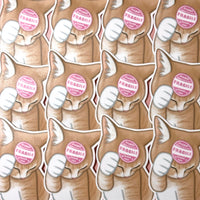 [WATERPROOF] Please Handle With Care Fragile Cat Meme Vinyl Sticker Decal