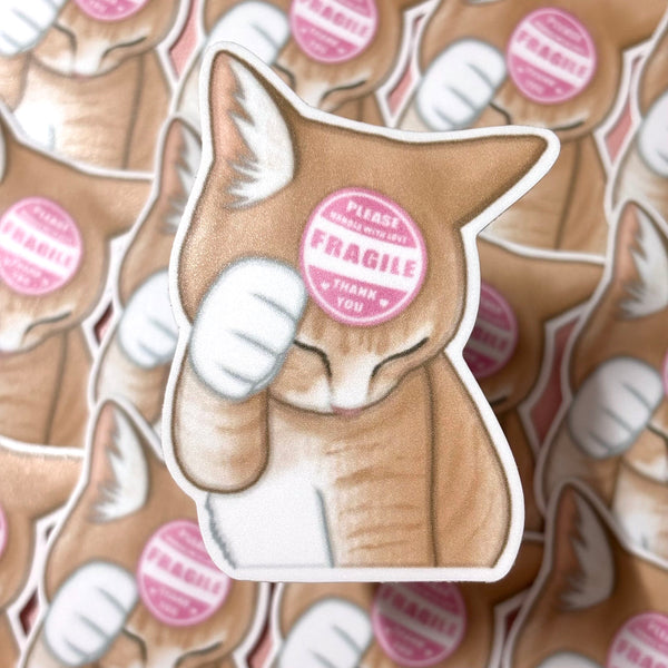[WATERPROOF] Please Handle With Care Fragile Cat Meme Vinyl Sticker Decal
