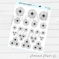 D146 - Black & White Daisy