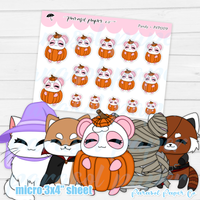 Pandy and Friends - Halloween Costume - PF009