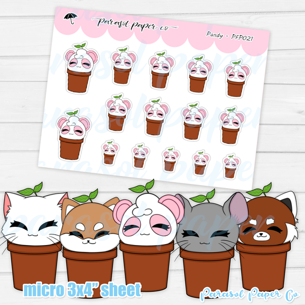 Pandy and Friends - Sprout - PF021