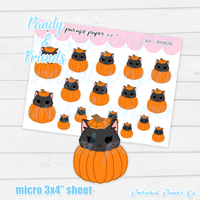 Pandy and Friends - Yin Pumpkin - PF076