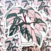 [WATERPROOF] Pink Princess Philodendron - Vinyl Sticker Decal