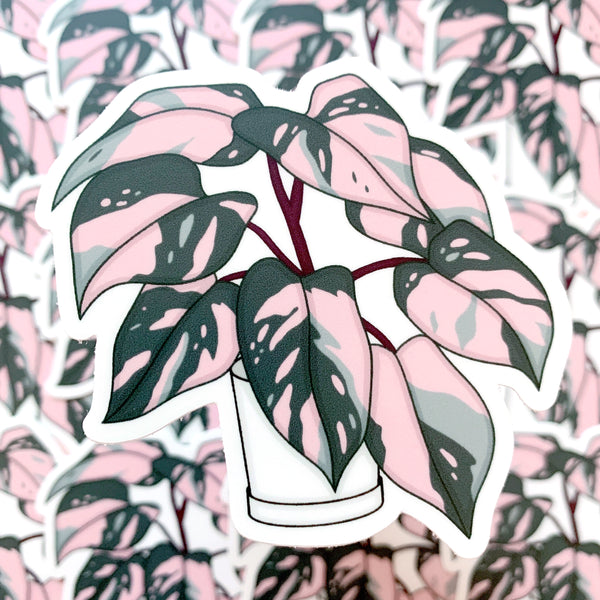 [WATERPROOF] Pink Princess Philodendron - Vinyl Sticker Decal